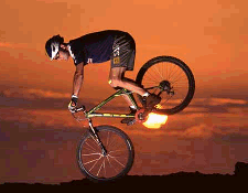 hans.gif